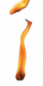flame-gif (1)