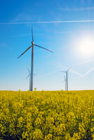sunshine-rapeseed-and-windwheels