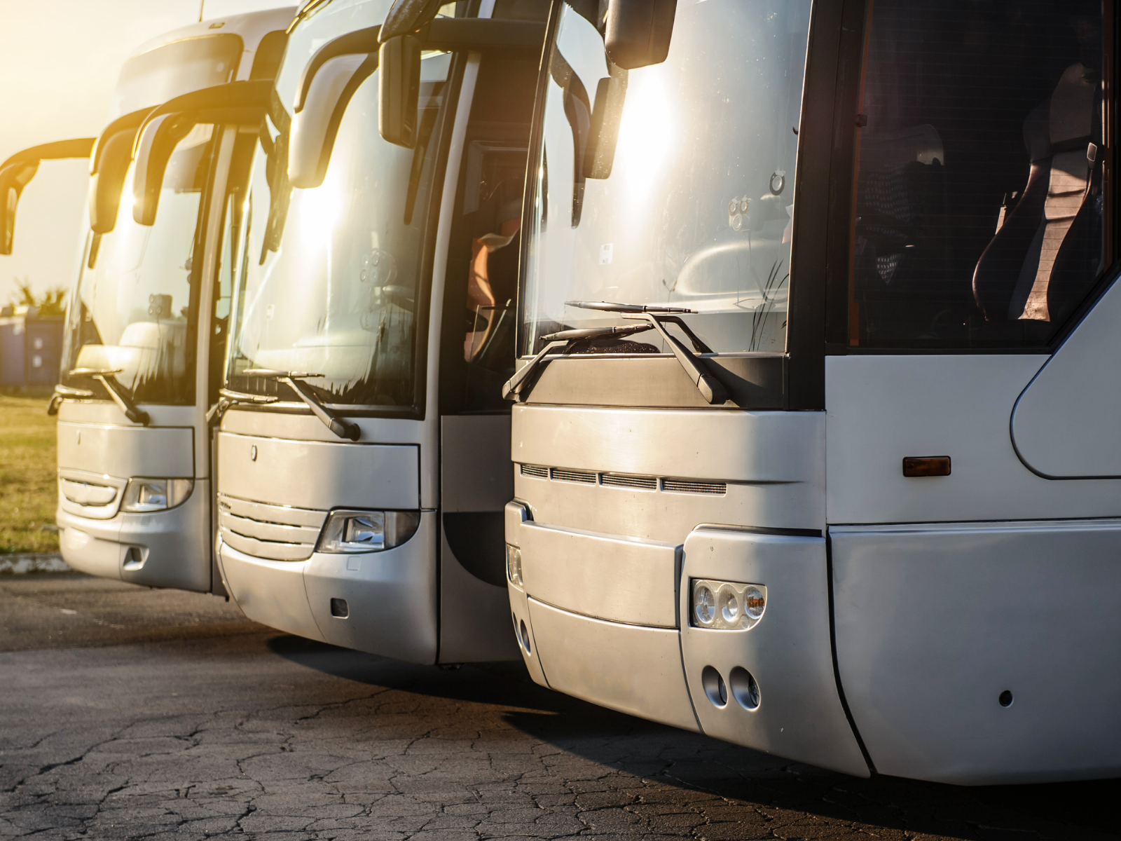 2 buses